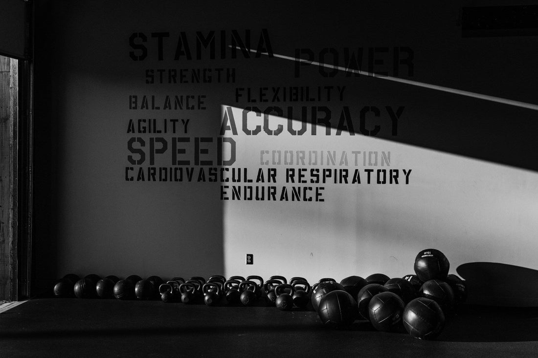 Multi Gym Equipment