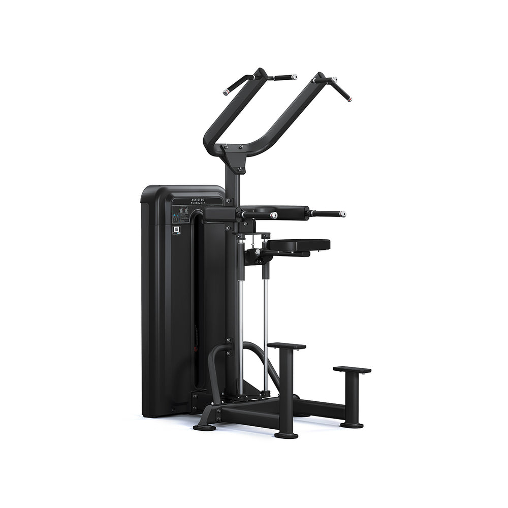 Pulse Fitness AssistPro Chin & Dip Machine - Premium Performance