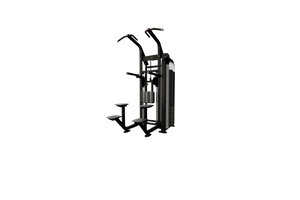 Nautilus Impact Range Chin Dip Assist - Premium Performance