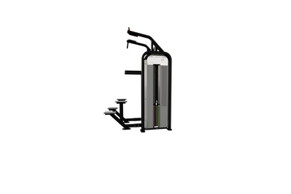 Nautilus Impact Range Chin Dip Assist