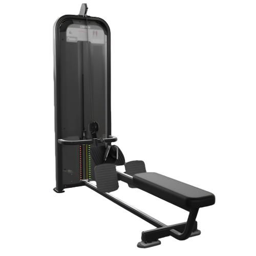Nautilus Impact Range Low Row - Premium Performance