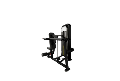 Nautilus Impact Range Dip Machine