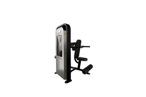 Nautilus Impact Range Dip Machine - Premium Performance