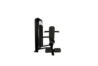 Nautilus Impact Range Dip Machine
