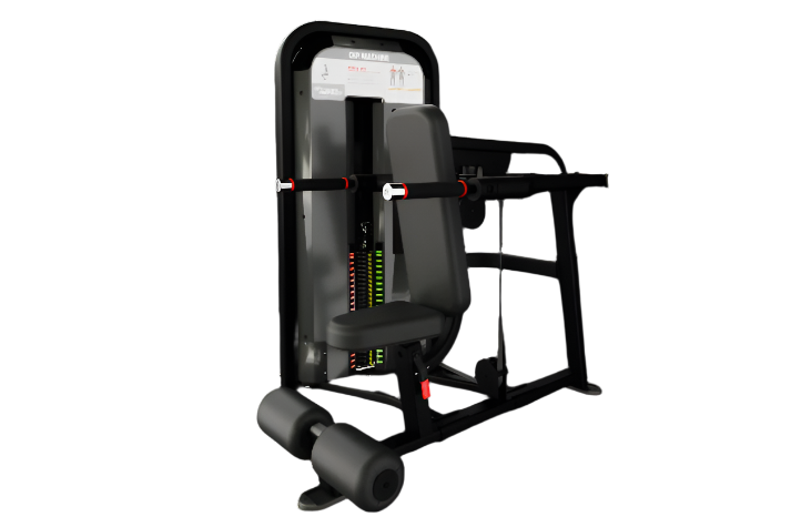 Nautilus Impact Range Dip Machine