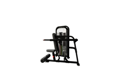 Nautilus Impact Range Dip Machine